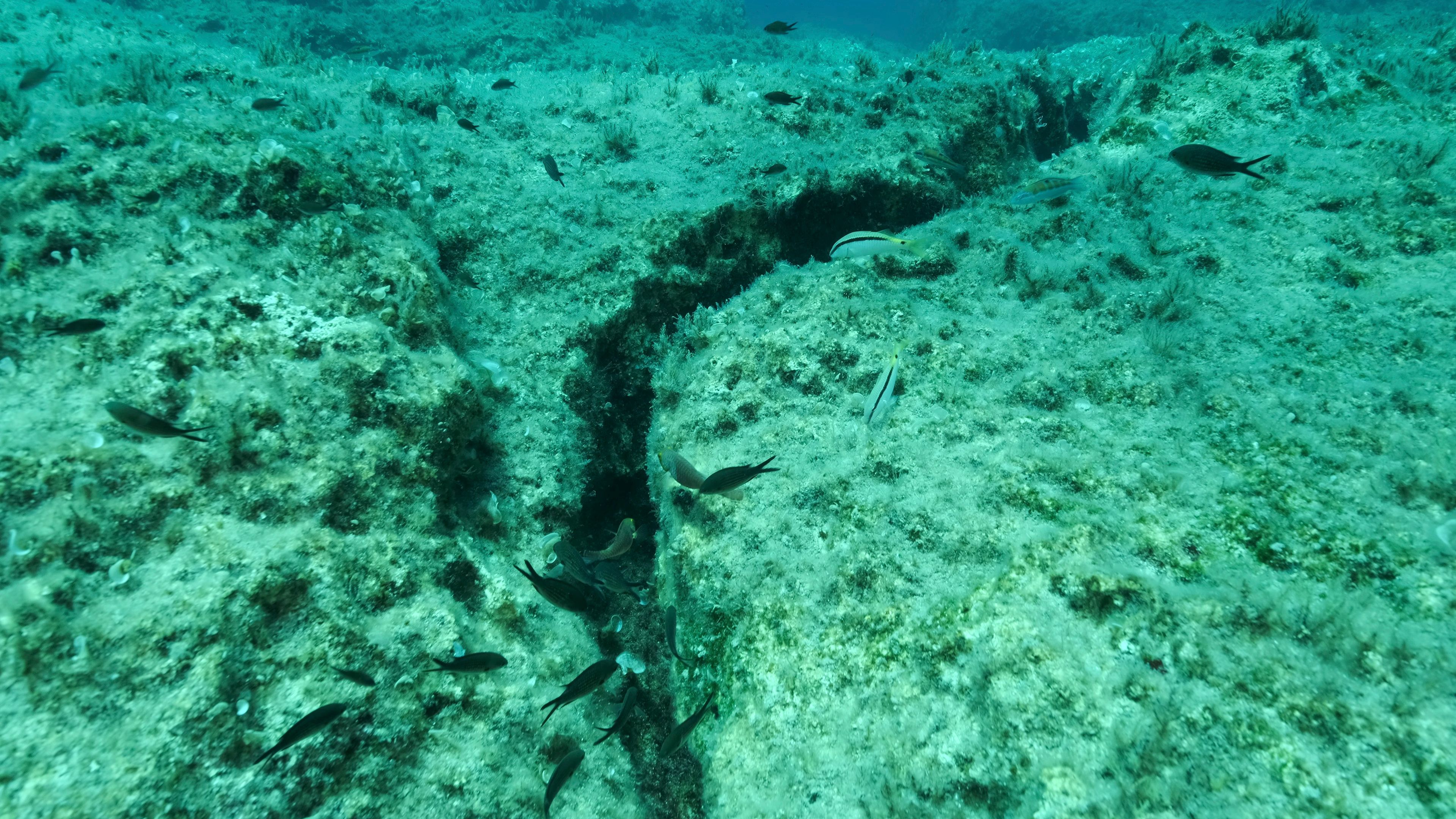 Nella profondità dell'Oceano Pacifico c'è una faglia che genera terremoti con una puntualità sconcertante e ora sappiamo perché