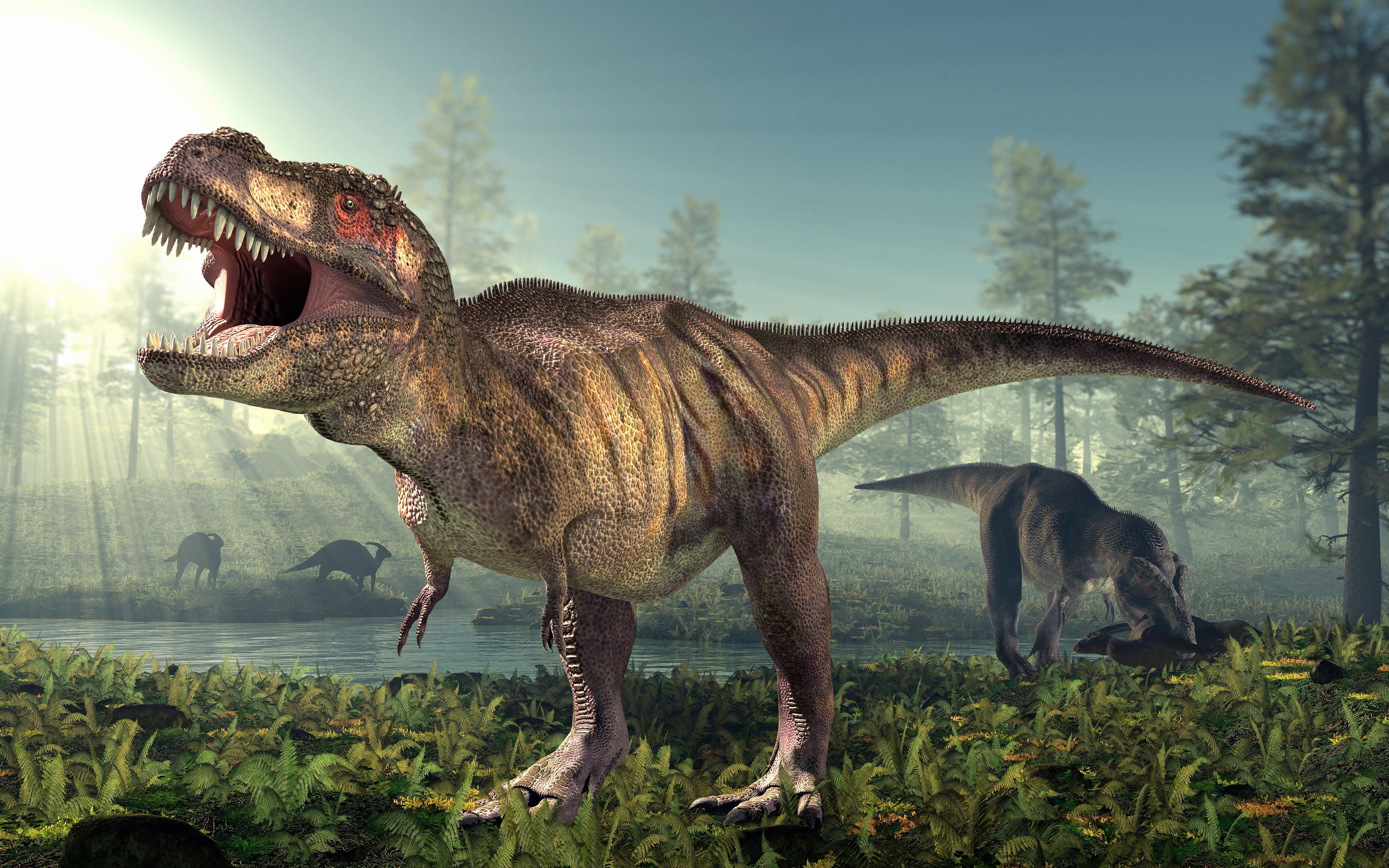 Perché il T. rex aveva le ‘braccia’ così corte? La risposta del paradosso anatomico sta nella corsa agli armamenti evolutiva